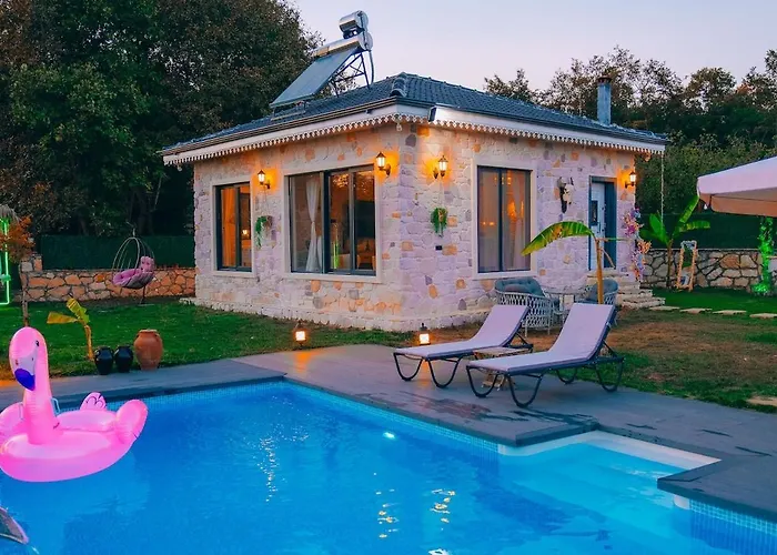 Medasuite Stone House With Detached Pool * Kandıra